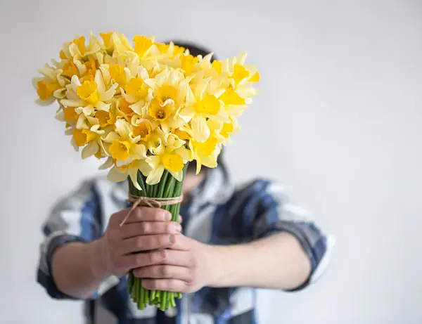 Qué significa regalar flores amarillas